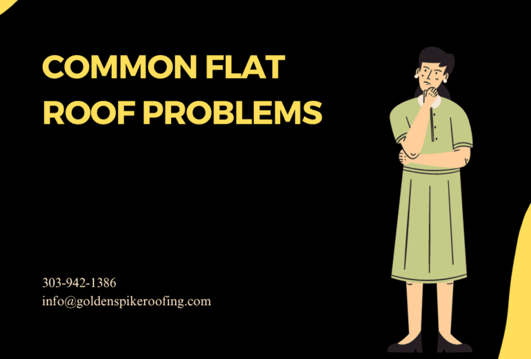 Common Flat Roof Problems