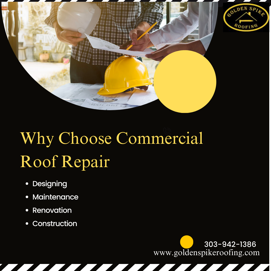 Commercial Roof Repair Near Me