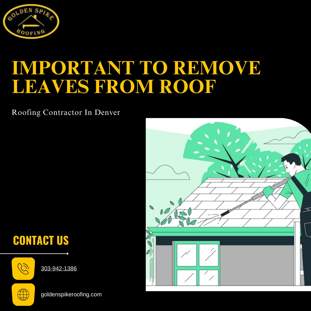Remove Leaves from Roof To Improve Your Roof Life In Denver
